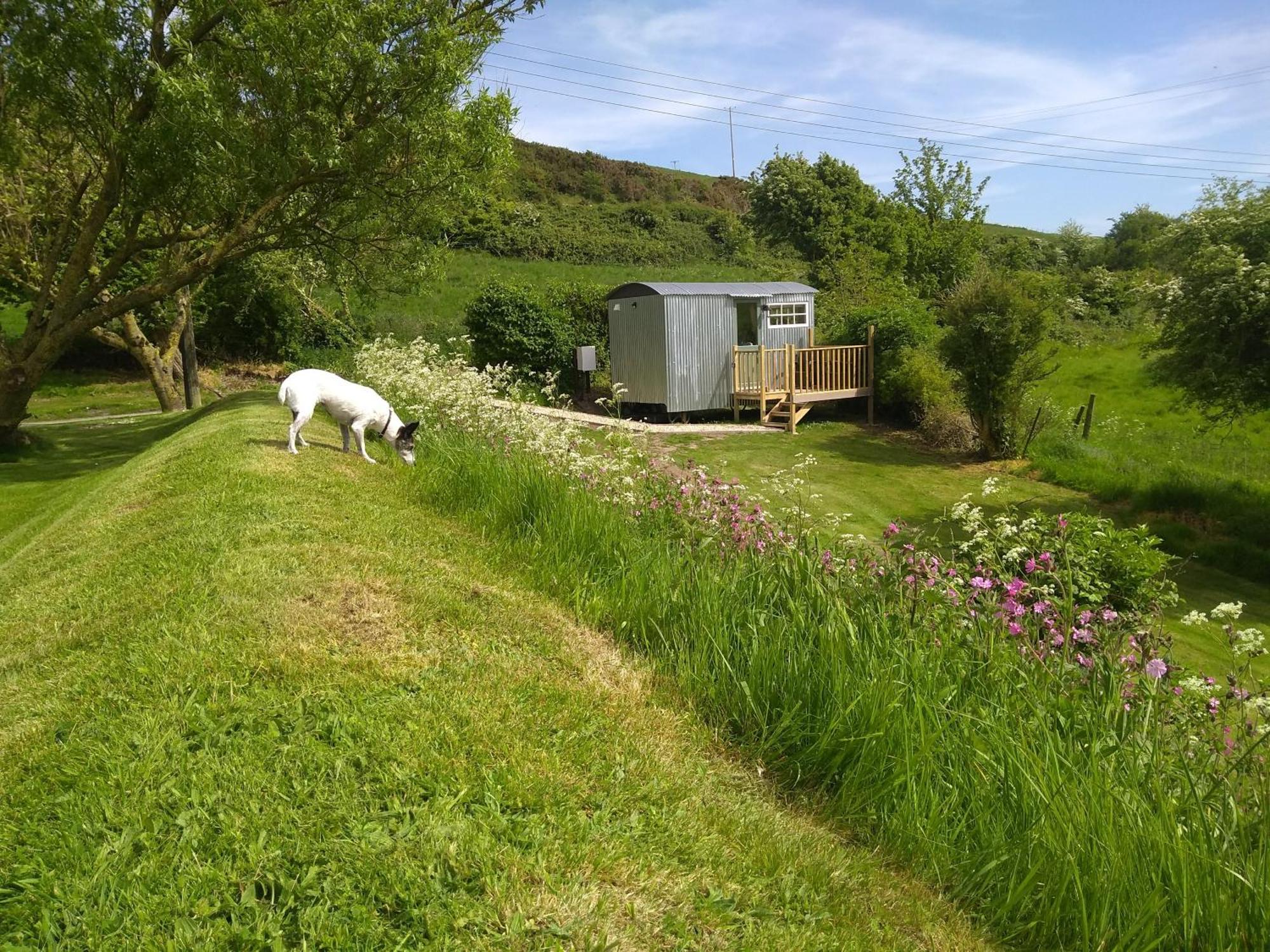 Shepherds Hut Weymouth Exterior foto